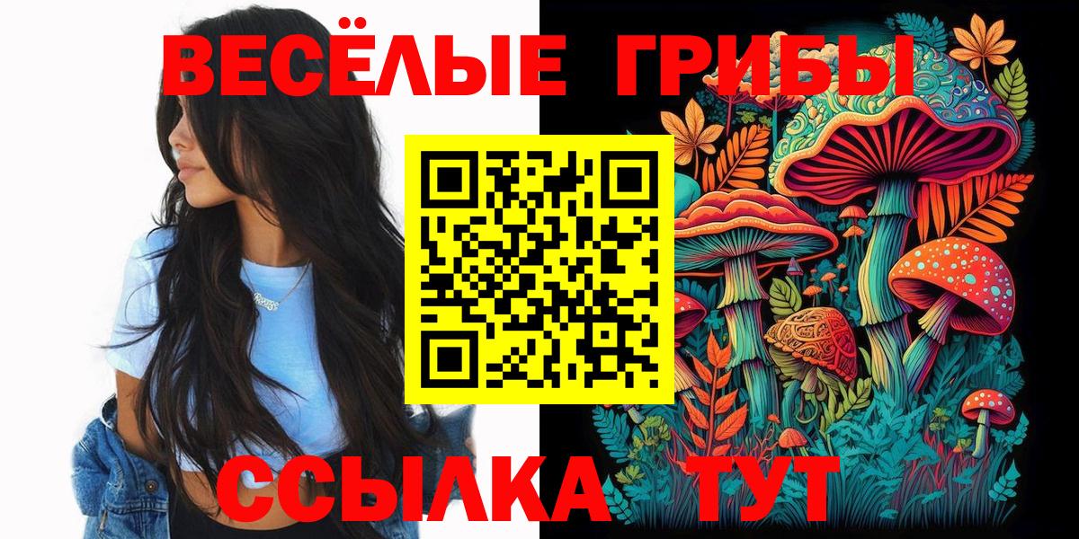 Галлюциногенные грибы GOLDEN TEACHER  сколько стоит  Белово  Вход с VPN 