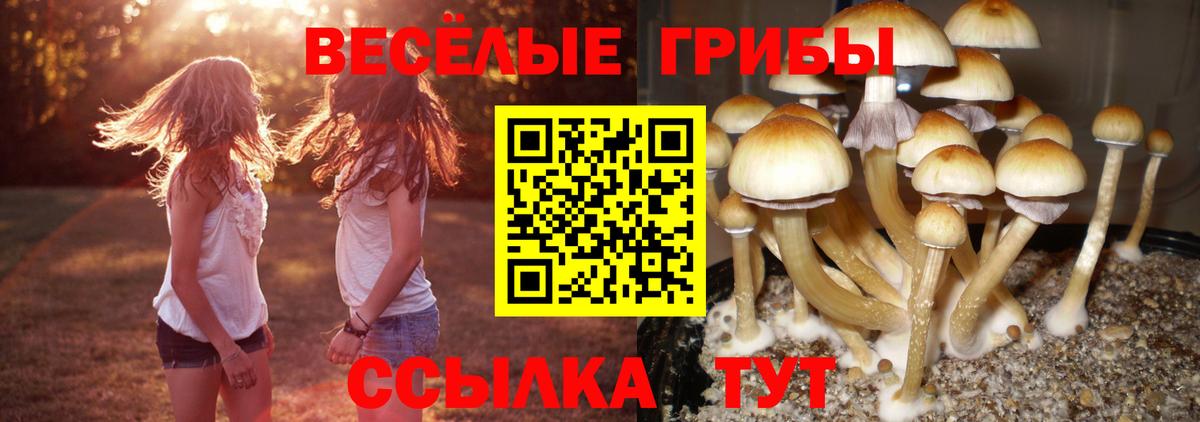 Псилоцибиновые грибы прущие грибы Белово